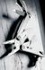 Мультитул Leatherman Wingman (14 інструментів) 4007591 фото 4